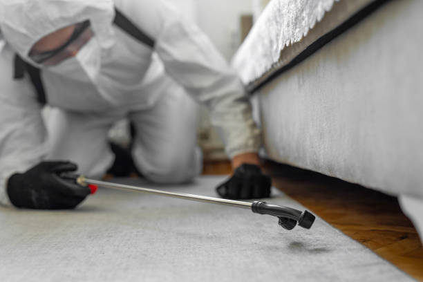 Professional Bed Bug Control technician working in Oak Hill, OH